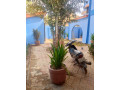 duplex-r1-a-louer-a-ouaga-2000-zone-a-small-3