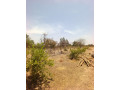 ferme-agro-pastorale-en-vente-a-koubri-small-1