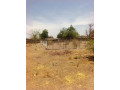 ferme-agro-pastorale-en-vente-a-koubri-small-3