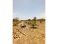 ferme-agro-pastorale-en-vente-a-koubri-small-2