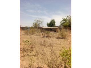Ferme agro pastorale en vente à Koubri