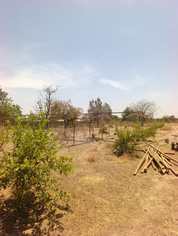 ferme-agro-pastorale-en-vente-a-koubri-big-1