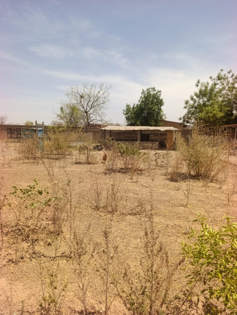 ferme-agro-pastorale-en-vente-a-koubri-big-0