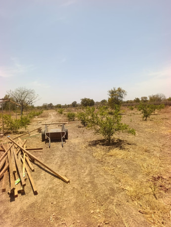 ferme-agro-pastorale-en-vente-a-koubri-big-2