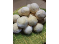 produits-de-lessive-et-dentretien-small-2