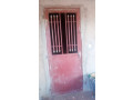 venez-vite-small-0