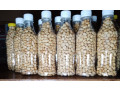 cacahuetes-maison-croustillantes-et-delicieuses-small-0