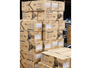 Ventilateur Panasonic