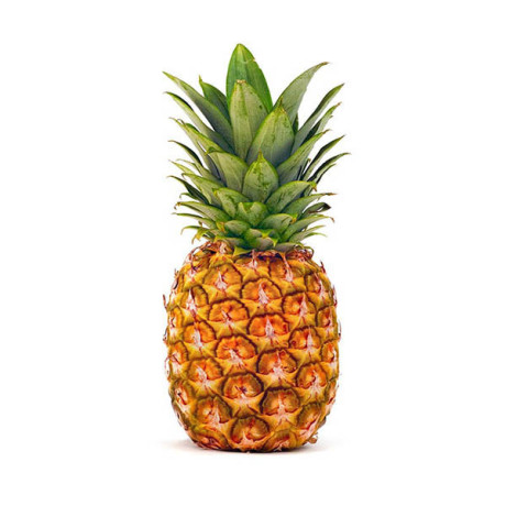 ananas-big-0