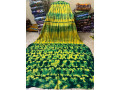 kokodunda-de-qualite-disponible-a-kaya-en-face-de-lhotel-des-heriters-small-1