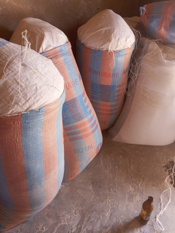 toedo-en-poudre-disponible-big-0