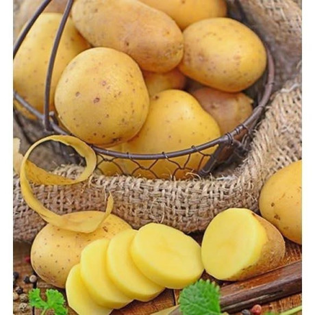 pomme-de-terre-fraiche-big-1