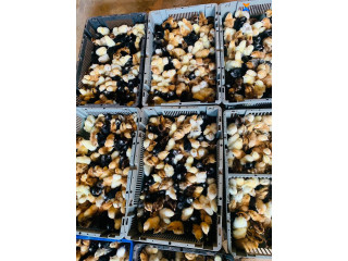 Vente des poussins de qualités