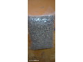 kalgo-small-1