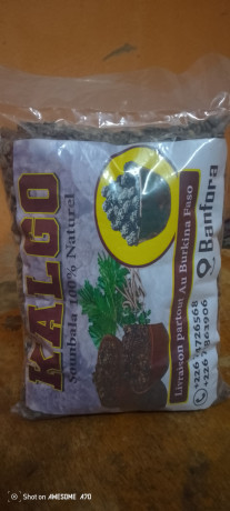 kalgo-big-0