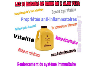 Un ventre léger, une meilleure digestion et plus dénergie