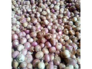 Vente d'oignons fraîches de qualité à Ouagadougou