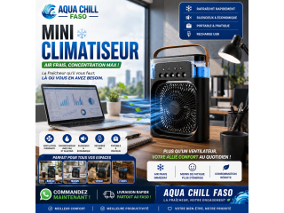 Mini climatiseur