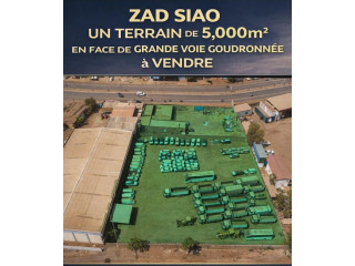 Terrain commercial à la Zad 2