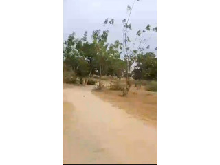 Terrain 10hectares à koudougou