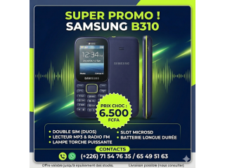 B310