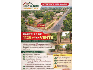 Opportunité à paspanga sur l'avenue Thomas sankara