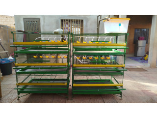 Cage metalique pour caille