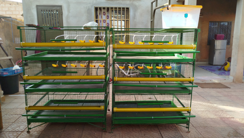 cage-metalique-pour-caille-big-0