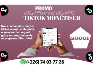 Formation professionnelle de la création et boostage des comptes ultra professionnel