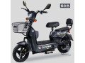velomoteur-electrique-small-1