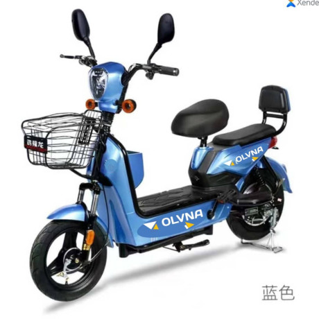 velomoteur-electrique-big-2