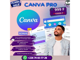 Formation en infographie (maîtriser cava pro,montage vidéo et des affiches des annonces)