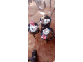 foyer-a-gaz-small-0
