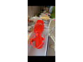 lelu-multiservices-small-3