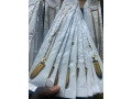 chaine-small-2