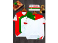 maillot-nationale-et-club-small-0