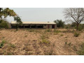 terrain-ferme-agro-pastoralea-koubri-small-0