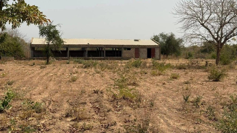 terrain-ferme-agro-pastoralea-koubri-big-0