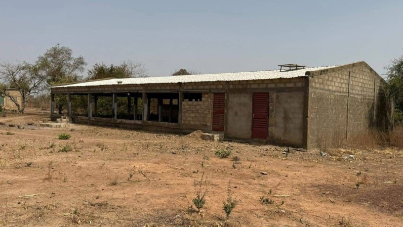 terrain-ferme-agro-pastoralea-koubri-big-1