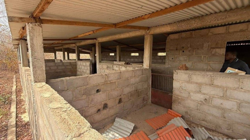 terrain-ferme-agro-pastoralea-koubri-big-2