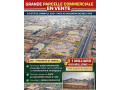 terrain-6000m2-a-la-zad-1-double-voie-du-siao-small-0