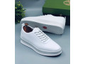 chaussures-de-luxe-small-0