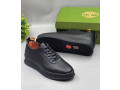 chaussures-de-luxe-small-1