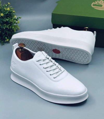 chaussures-de-luxe-big-0