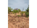 terrain-a-vendre-small-2