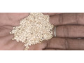 vente-de-cereales-mais-haricot-harachides-grain-de-neere-soja-petit-mil-sorgho-en-gros-et-details-small-2
