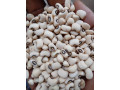 vente-de-cereales-mais-haricot-harachides-grain-de-neere-soja-petit-mil-sorgho-en-gros-et-details-small-0