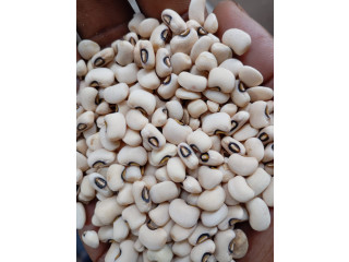 Vente de cereales : maïs ,haricot ,harachides ,grain de neere ,soja ,petit mil ,sorgho en gros et details