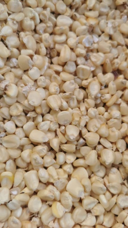 vente-de-cereales-mais-haricot-harachides-grain-de-neere-soja-petit-mil-sorgho-en-gros-et-details-big-1