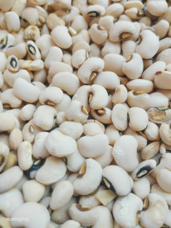 vente-de-cereales-mais-haricot-harachides-grain-de-neere-soja-petit-mil-sorgho-en-gros-et-details-big-3
